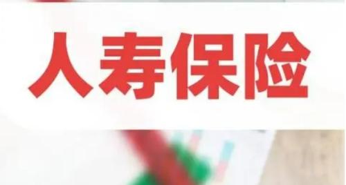 人寿保险真的可靠吗?深度剖析保障与信任