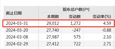 又有两家退市 近8万股东踩雷