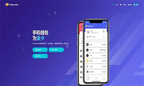 Polkawallet钱包创建教程 Polkawallet钱包全面介绍