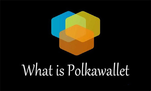 Polkawallet钱包创建教程 Polkawallet钱包全面介绍
