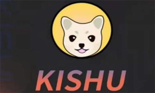 KISHU币值得长期持有吗 市场前景如何