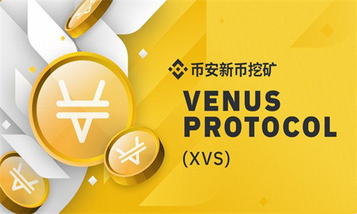 XVS币适合长期持有吗 未来价值