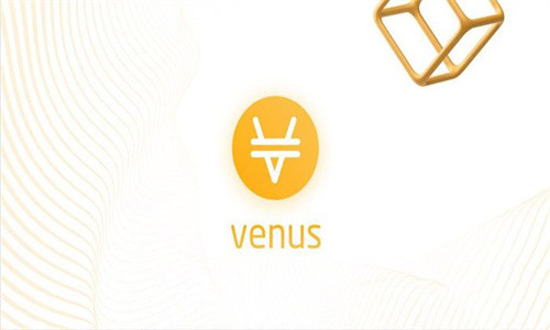 XVS币适合长期持有吗 未来价值
